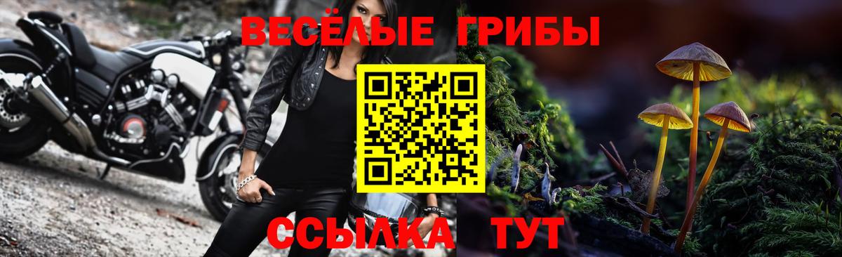 Галлюциногенные грибы прущие грибы  Галлюциногенные грибы Psilocybine cubensis  Вход с VPN  Туймазы 