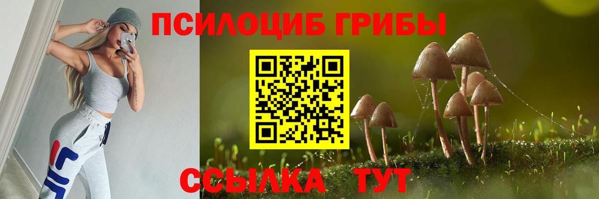 Галлюциногенные грибы GOLDEN TEACHER Туймазы
